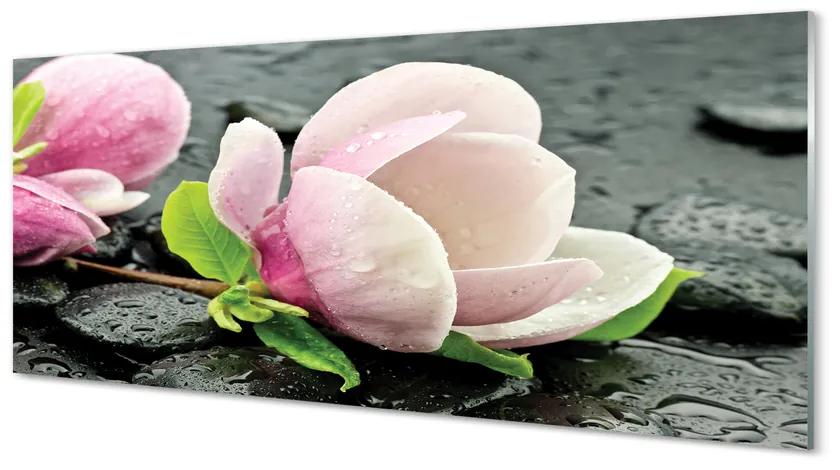 Tablouri acrilice pietre Magnolia