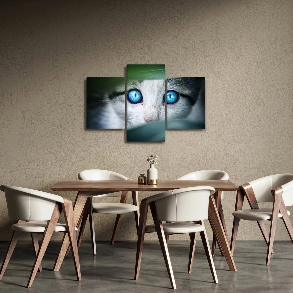 Tablou cu pisica (90x60 cm)
