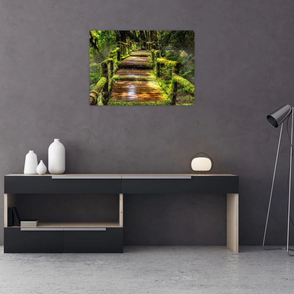 Tablou pe sticlă cu scări într-o pădure tropicală (70x50 cm)