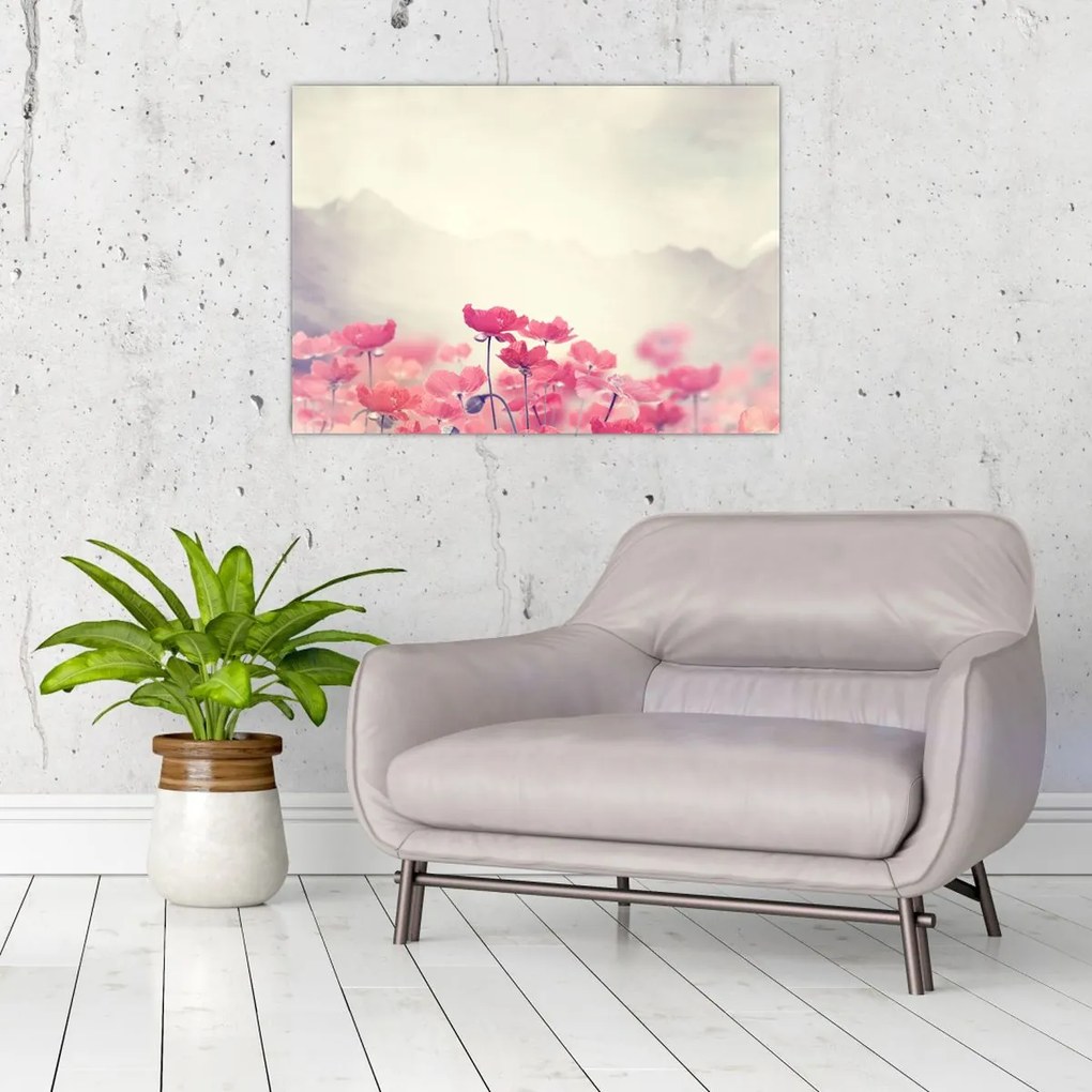 Tablou - Maci (70x50 cm)