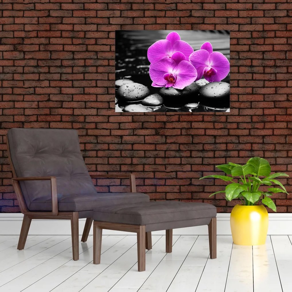 Tablou - Orhidee violet (70x50 cm)