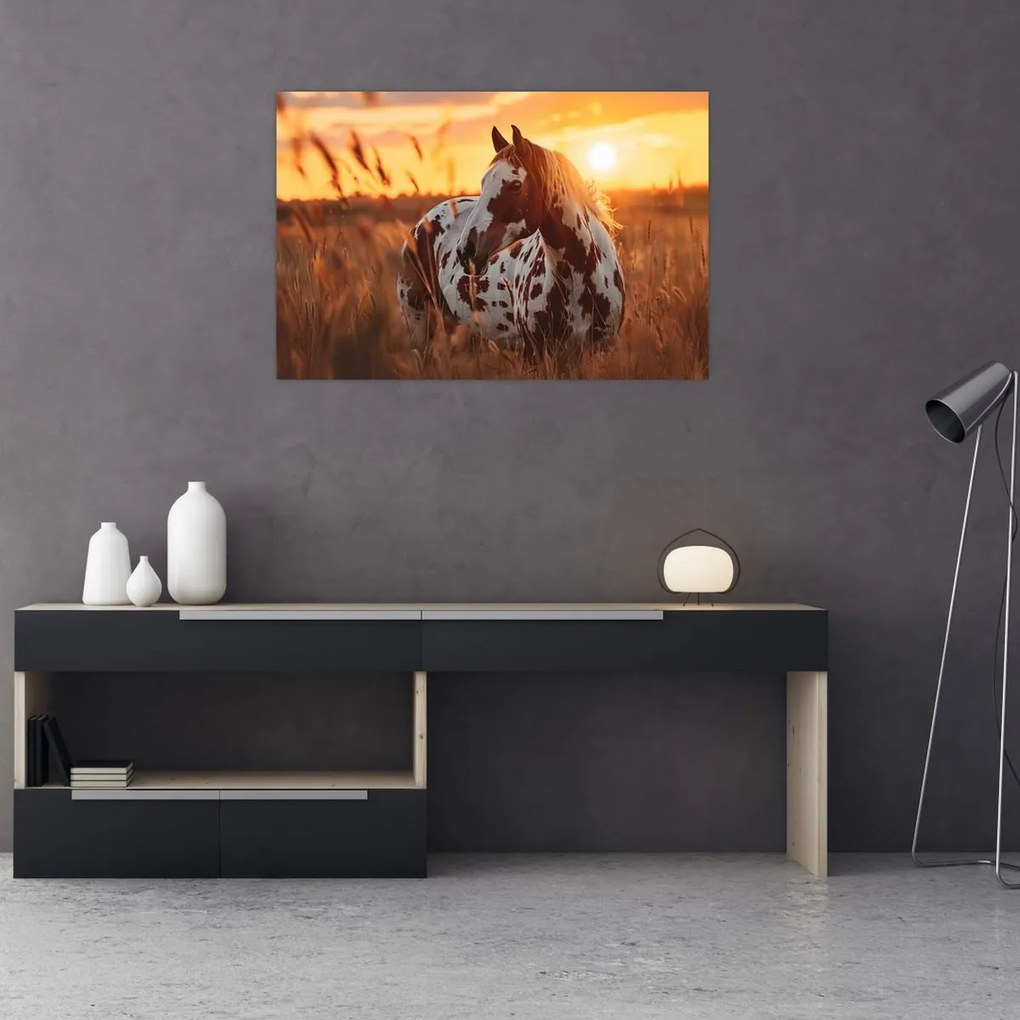 Tablou - Cal la Apus (90x60 cm)