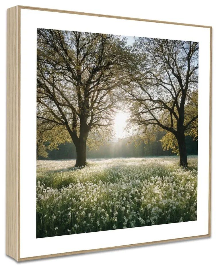 Tablouri 4 buc. 30x30 cm Sunrise Hike – knor