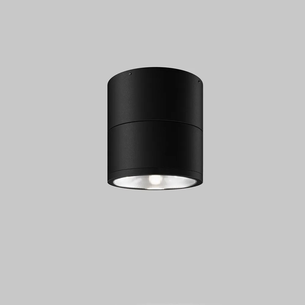 Spot LED rotativ pentru exterior IP54 Spin grafit