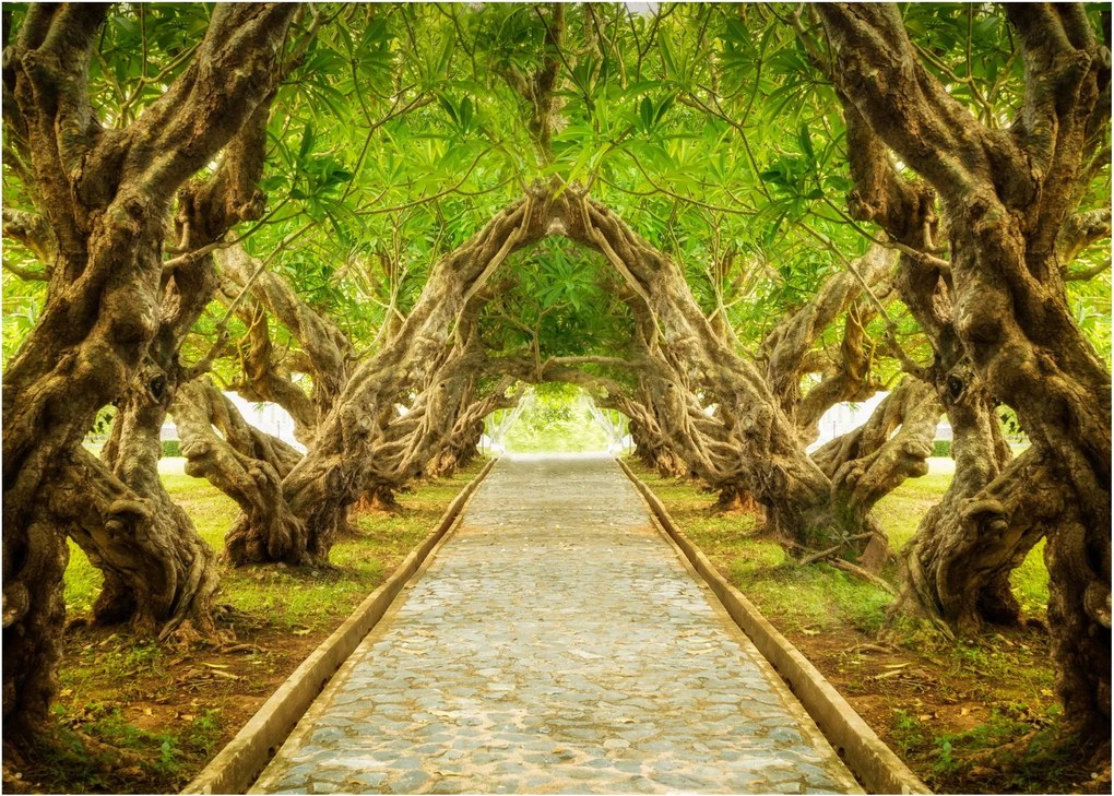 Tablou - Tunel viu din plumeria (70x50 cm)
