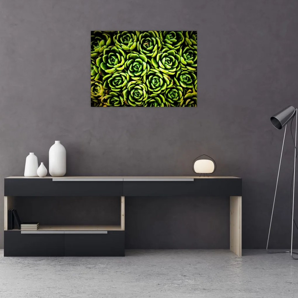 Tablou cu flori de piatră (70x50 cm)