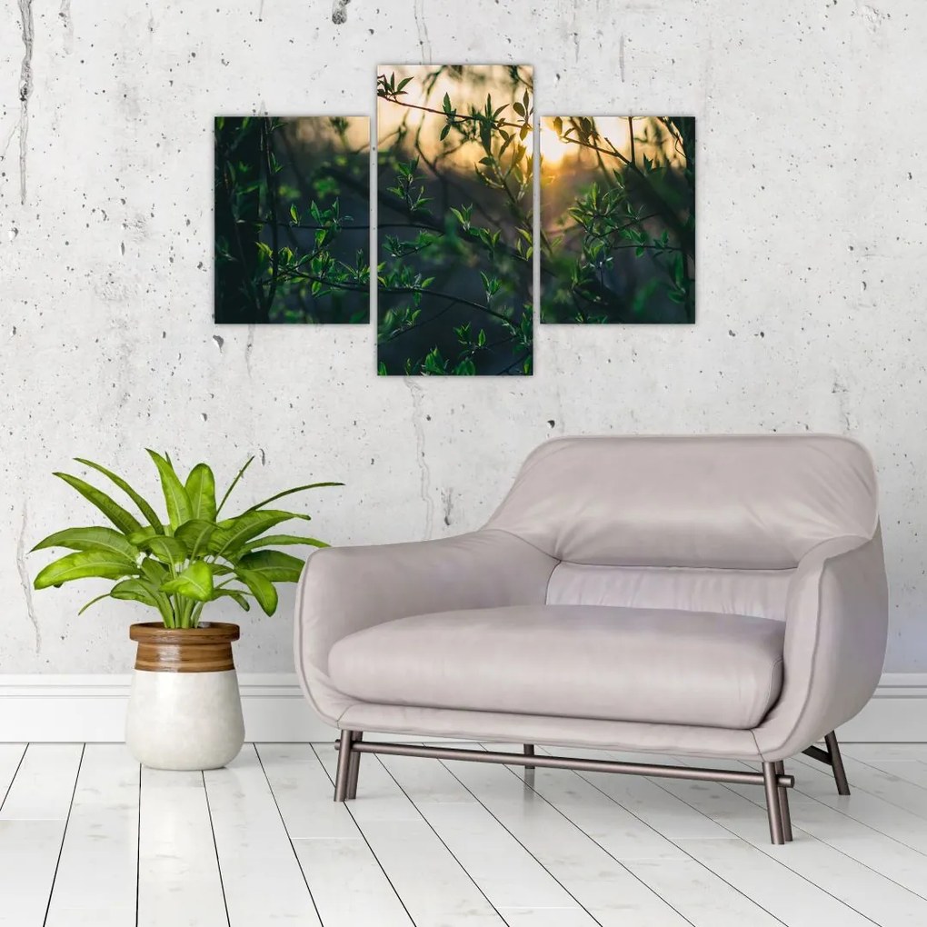 Tablou - Soarele strălucind printre crengile copacilor (90x60 cm)