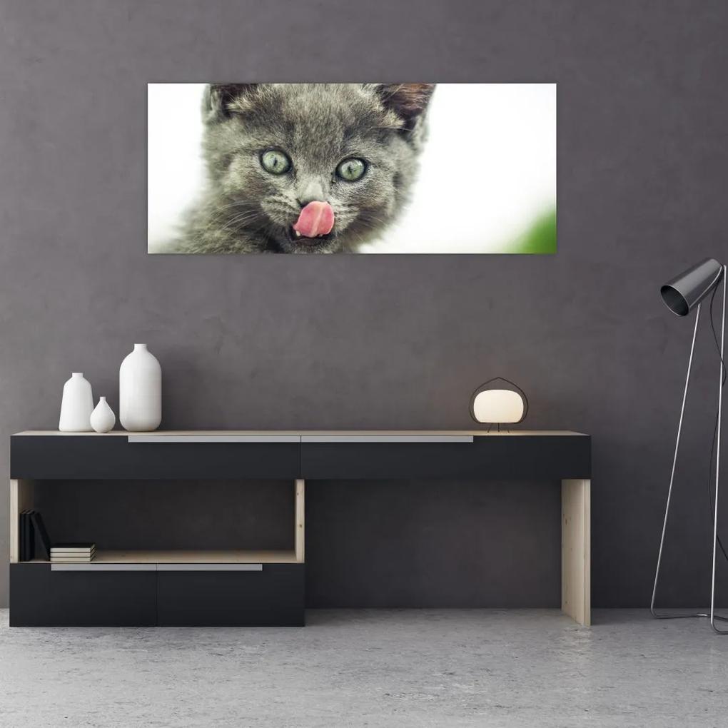 Tablou cu pisicuța lingându-se (120x50 cm), în 40 de alte dimensiuni noi