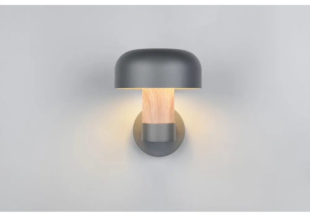 Corp de iluminat pentru exterior, de perete (înălțime 24,5 cm) Fraser – Trio