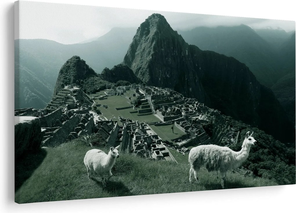 Tablou - Lamas la Machu Picchu în Peru (90x60 cm)