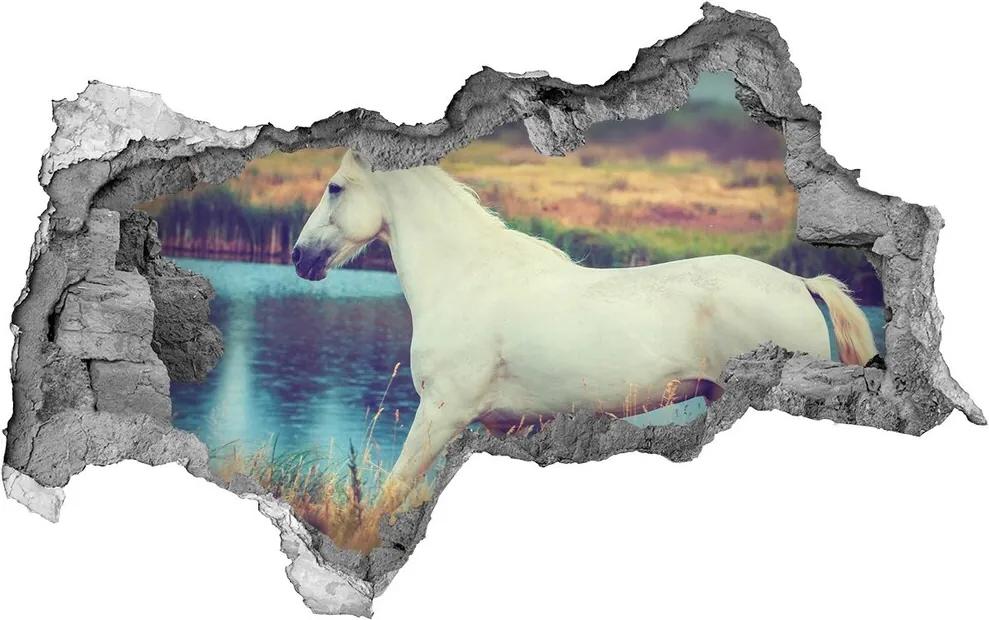 Autocolant gaură 3D White lake horse