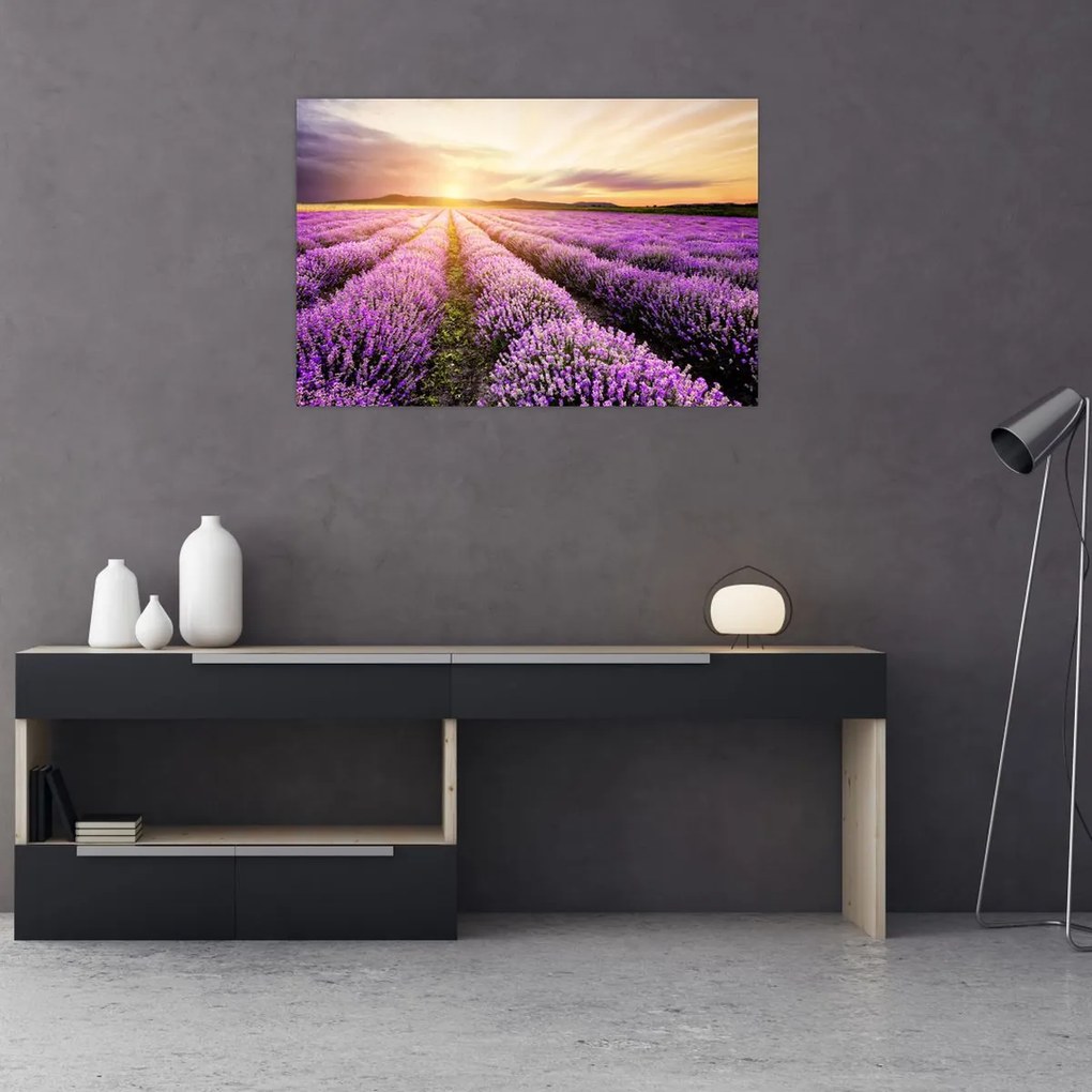 Tablou - Răsărit de soare în câmp de lavandă (90x60 cm)