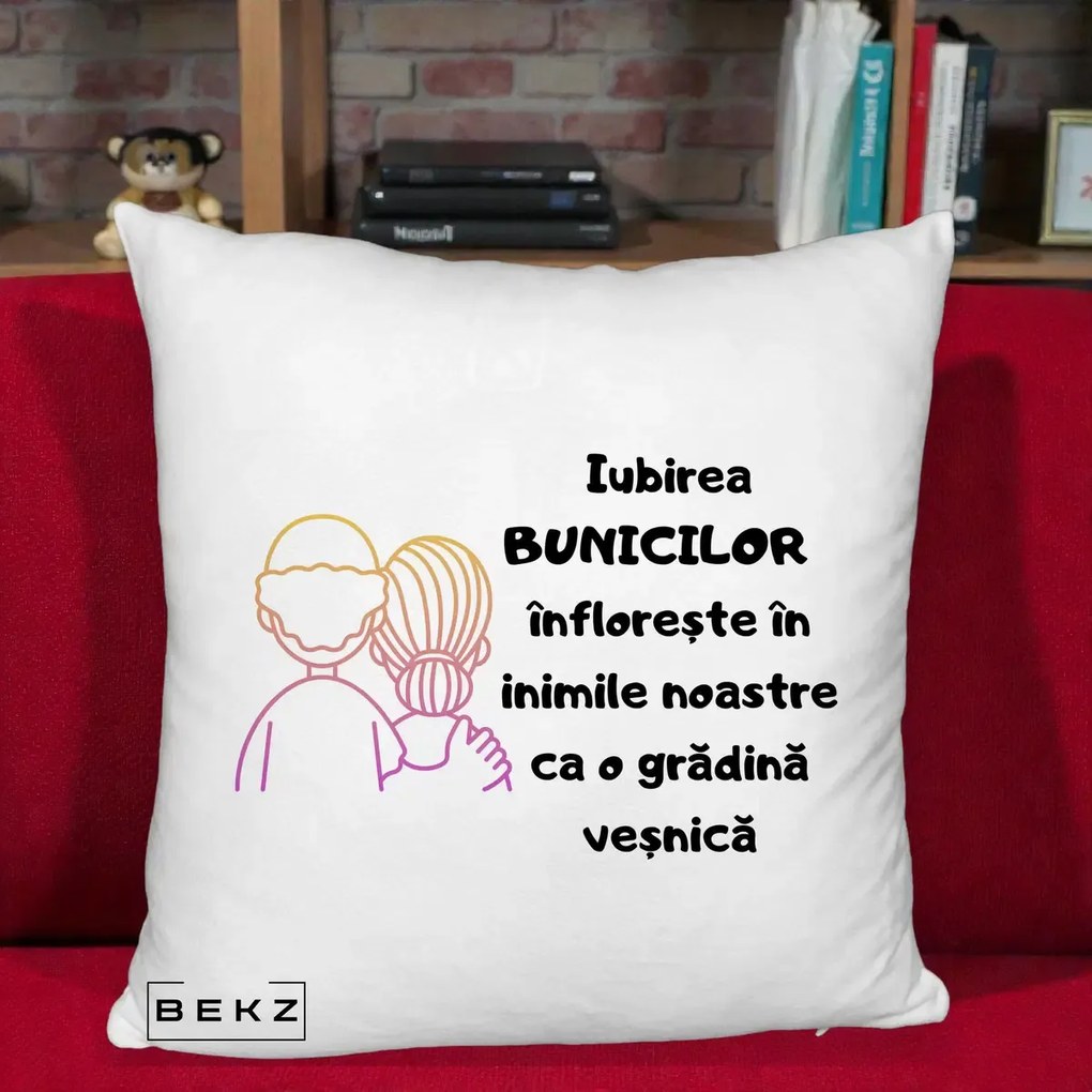 Cadou pentru Bunici - Perna Personalizata Iubirea Bunicilor Infloreste Cuplu Line Art Gradient, 40x40 cm, Alb Pufos, Husa Detasabila, Perna Inclusa, BEKZ®