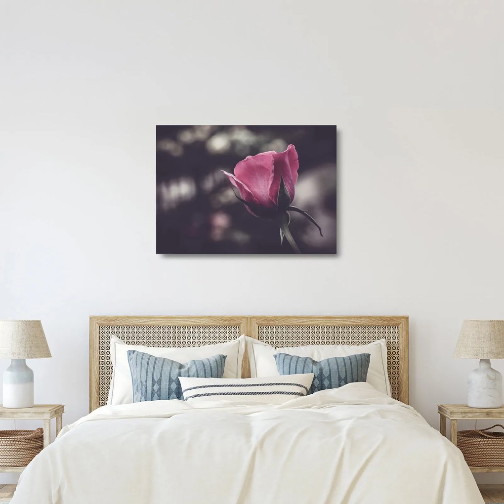 Tablou pe sticlă - Detaliu florii de trandafir (70x50 cm)