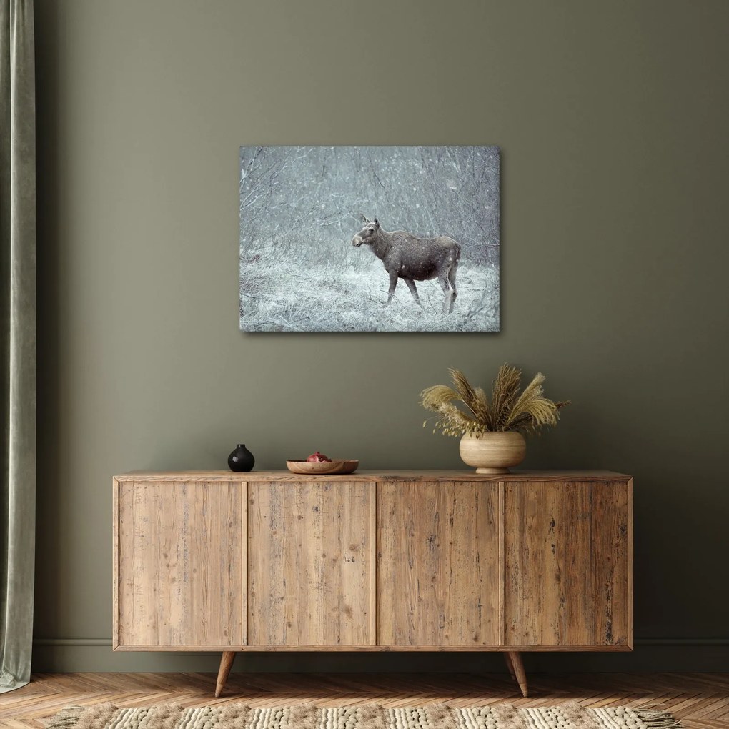 Tablou - Elan într-o pădure înzăpezită (70x50 cm)