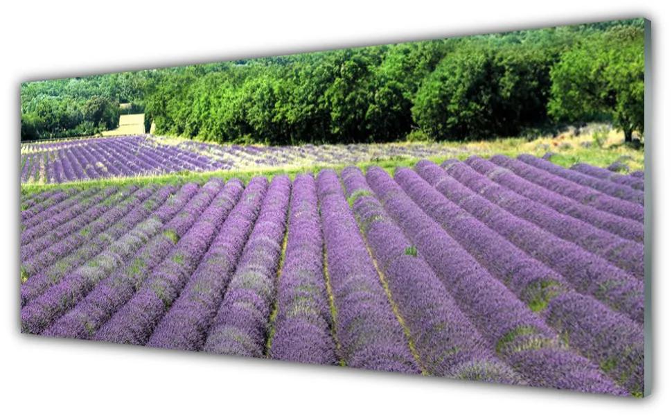 Tablouri acrilice Meadow Flori Natura Verde Violet