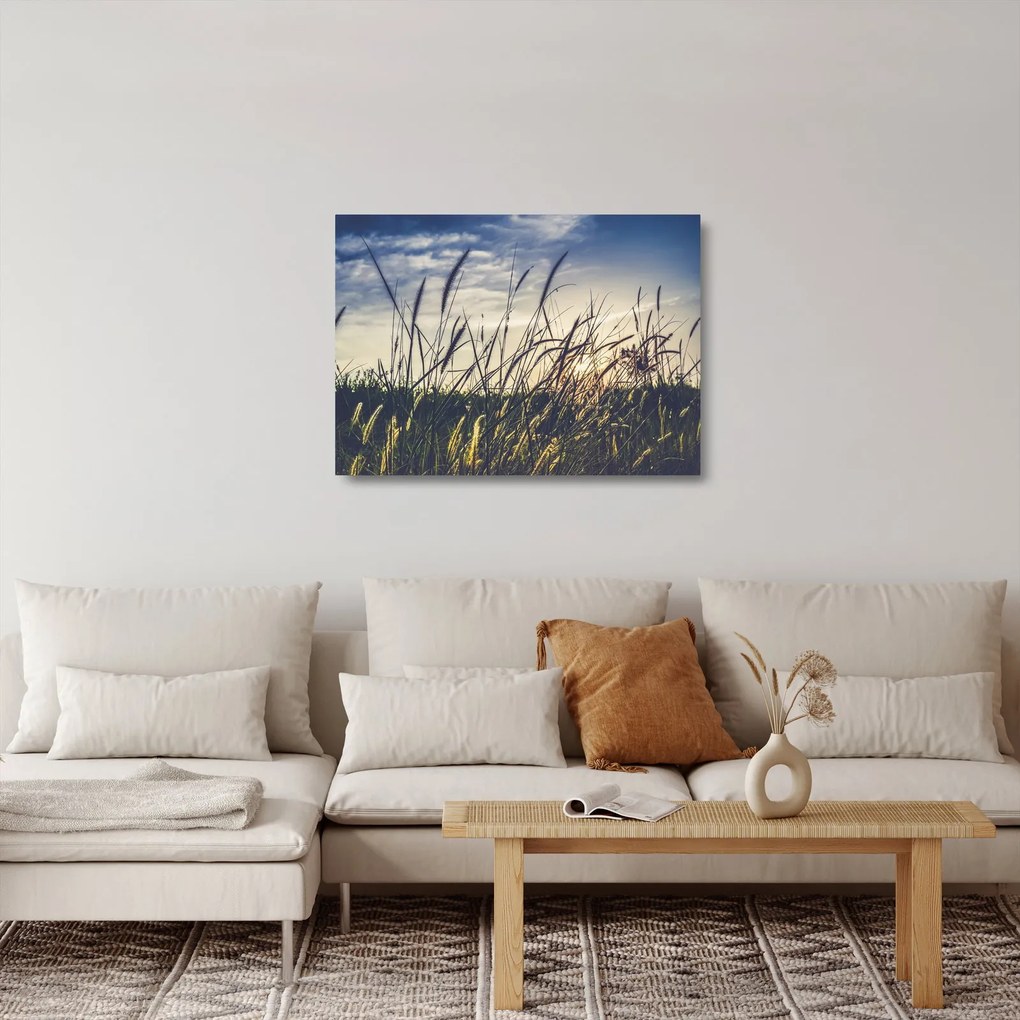 Tablou pe sticlă cu flori de câmp (70x50 cm)