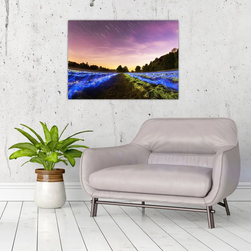 Tablou cu câmp colorat (70x50 cm)