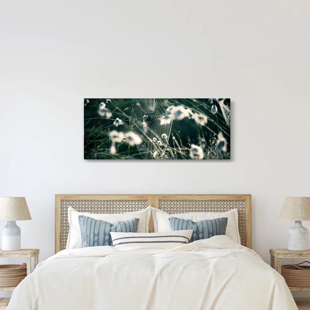 Tablou - Pânză de păianjen (120x50 cm)