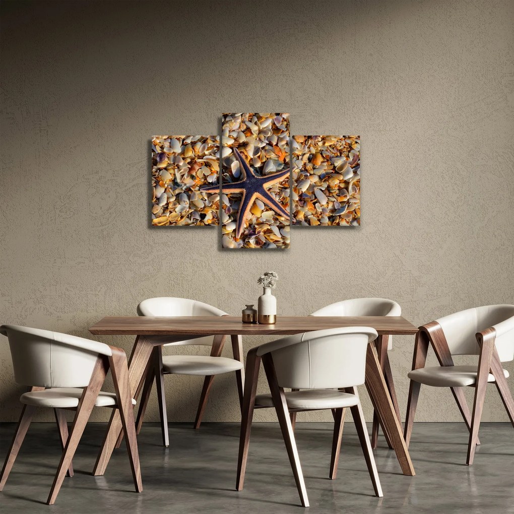 Tablou cu stea de mare (90x60 cm)