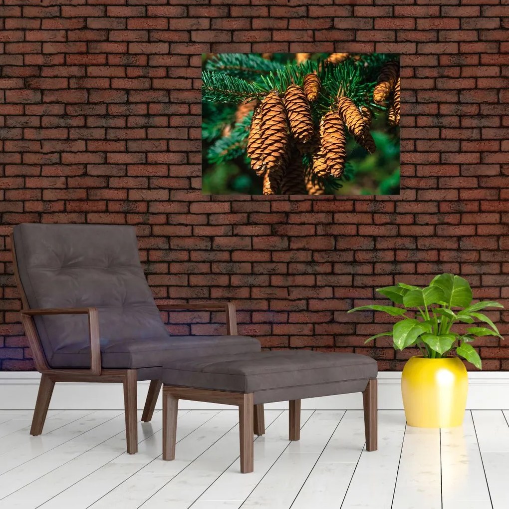Tablou pe sticlă cu con de brad (70x50 cm)