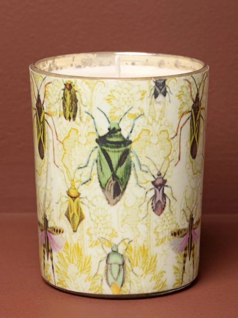Lumanare parfumata "Bugs"