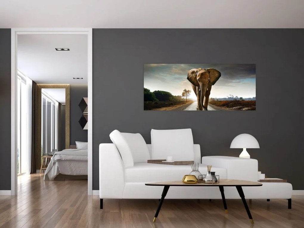 Tablou cu elefant (120x50 cm)