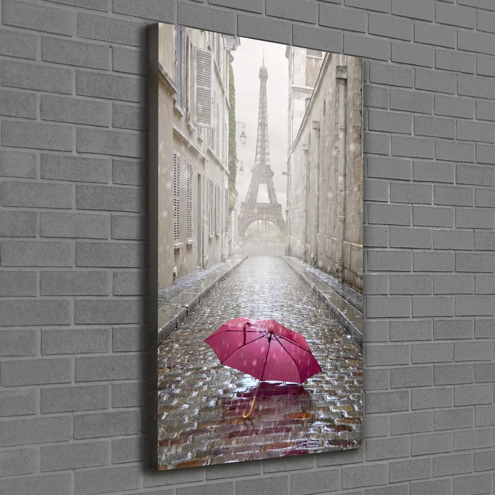 Imprimare tablou canvas Umbrelă Franța