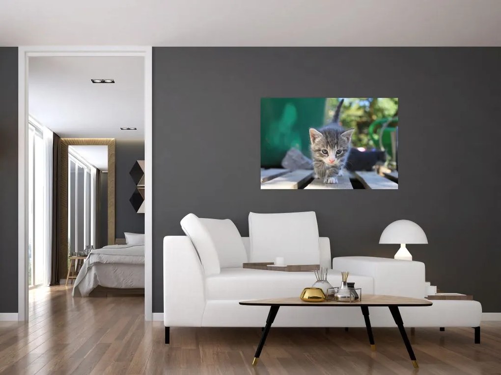 Tablou cu pisicuțe (90x60 cm)