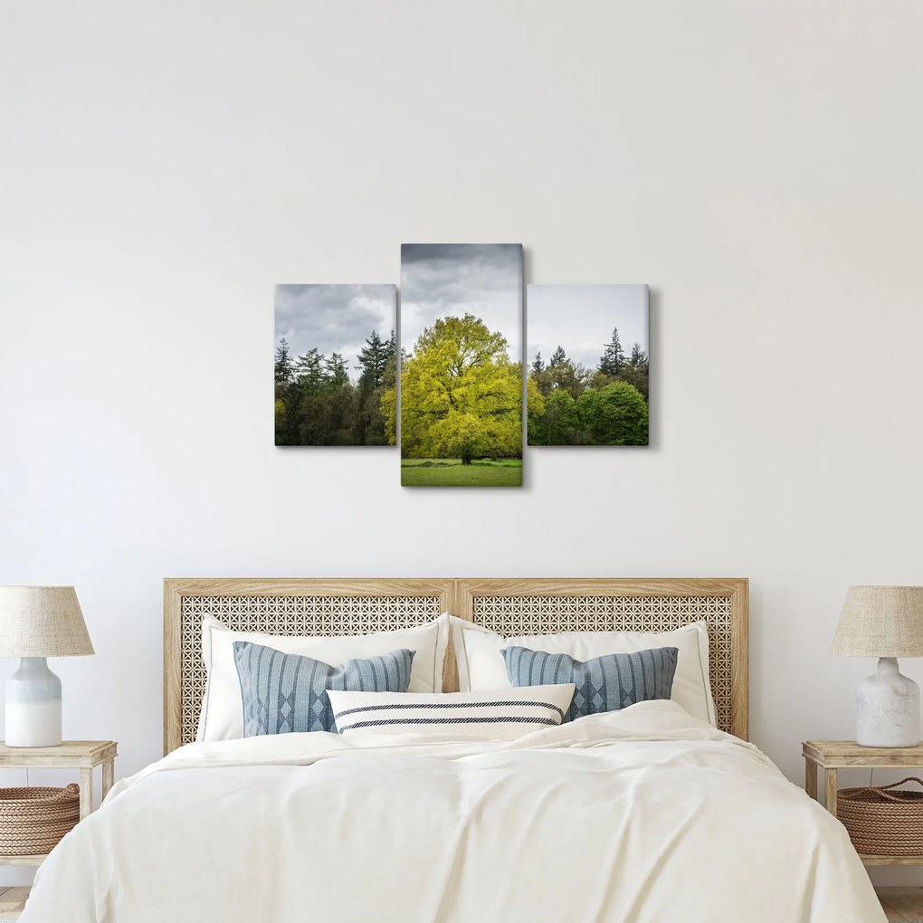 Tablou - Copac verde în câmp (90x60 cm)