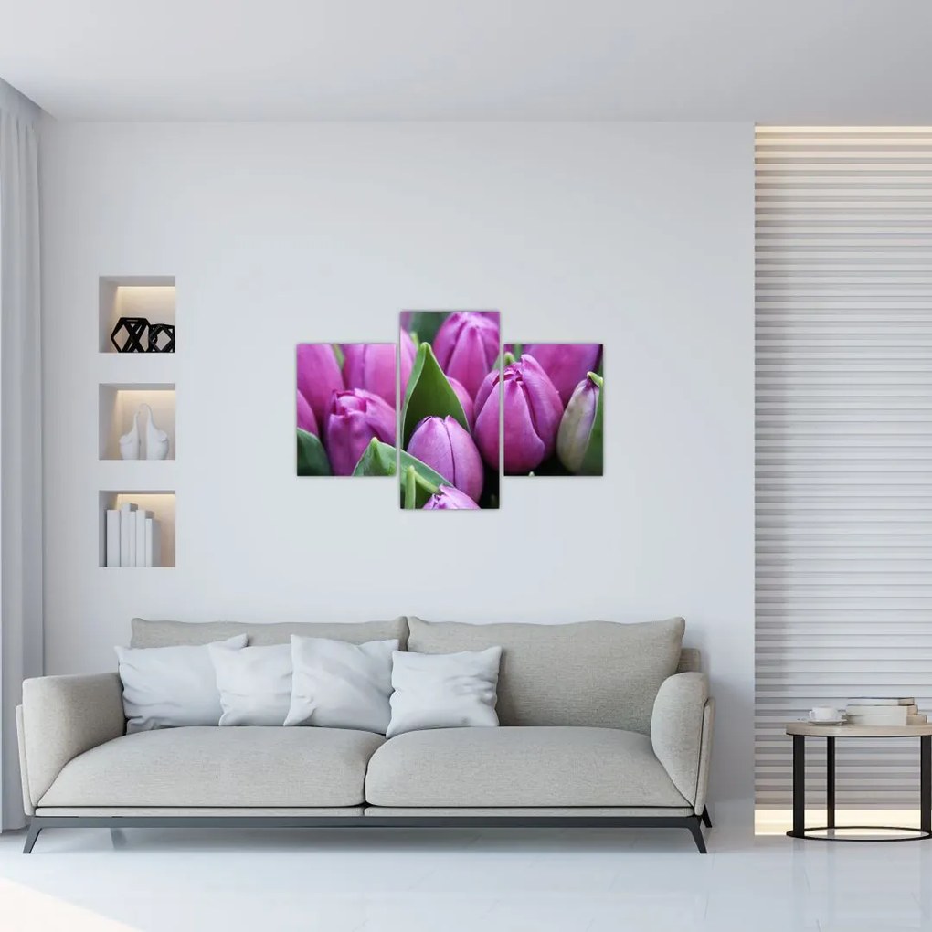 Tablou - florile lalelelor (90x60 cm)