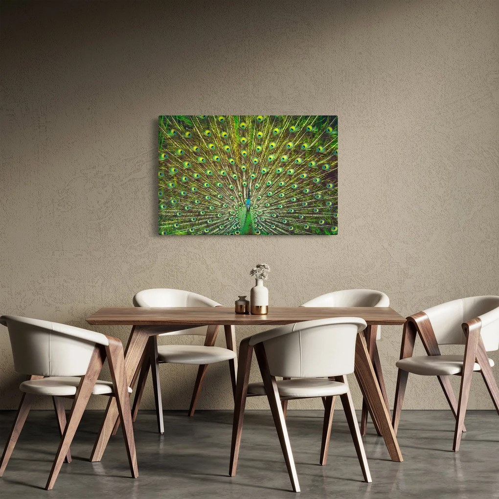 Tablou - Peacock (90x60 cm)