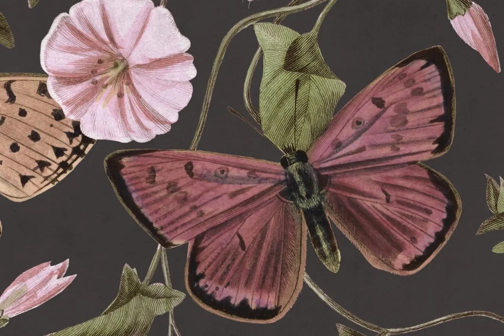 Fototapet, Butterflies, Midnight, Rebel Walls