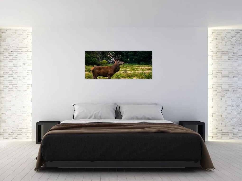 Tablou cu cerb (120x50 cm)