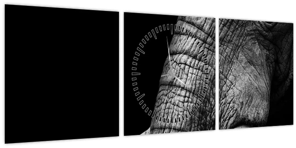 Tablou - Colți de elefant (cu ceas) (90x30 cm)