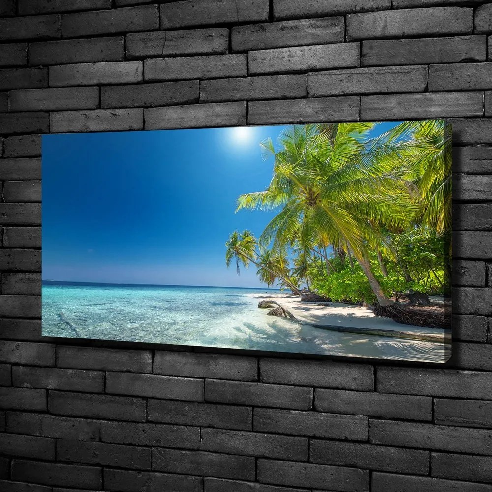 Tablouri tipărite pe pânză Plaja maldive