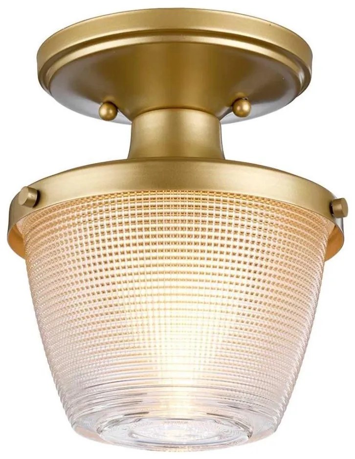 Plafonieră pentru baie Quoizel QZ-DUBLIN-SF-PNBR DUBLIN 1xE27/40W/230V IP44 auriu