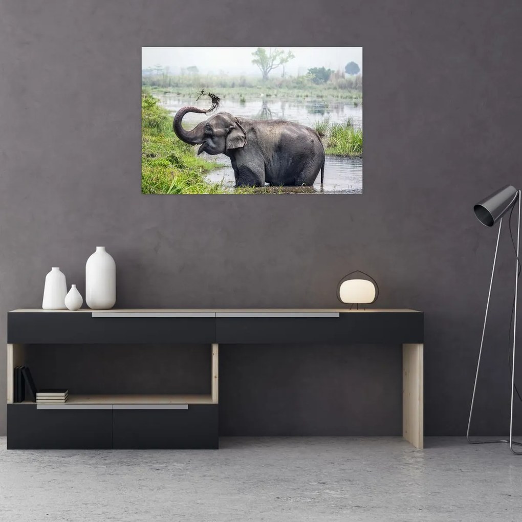 Tablou - Elefant de scăldat (90x60 cm)