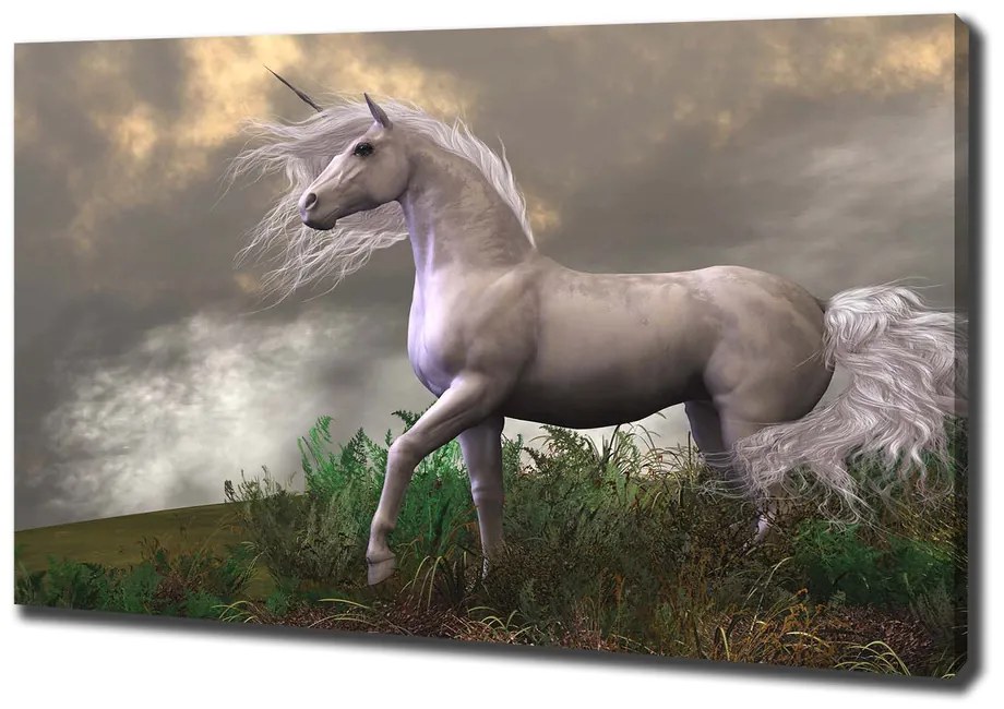 Tablou canvas Unicorn gri
