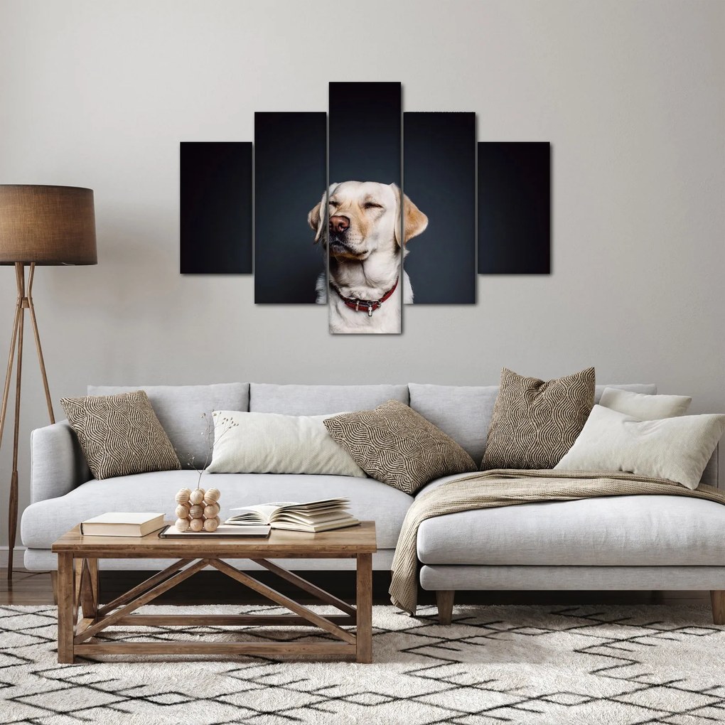 Tablou cu labrador (150x105 cm)