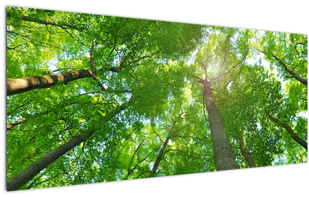 Tablou - Lunca (120x50 cm)