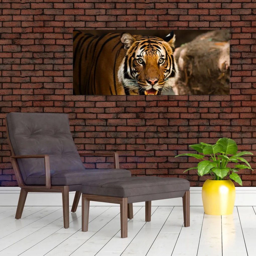 Tablou cu tigrul (120x50 cm)
