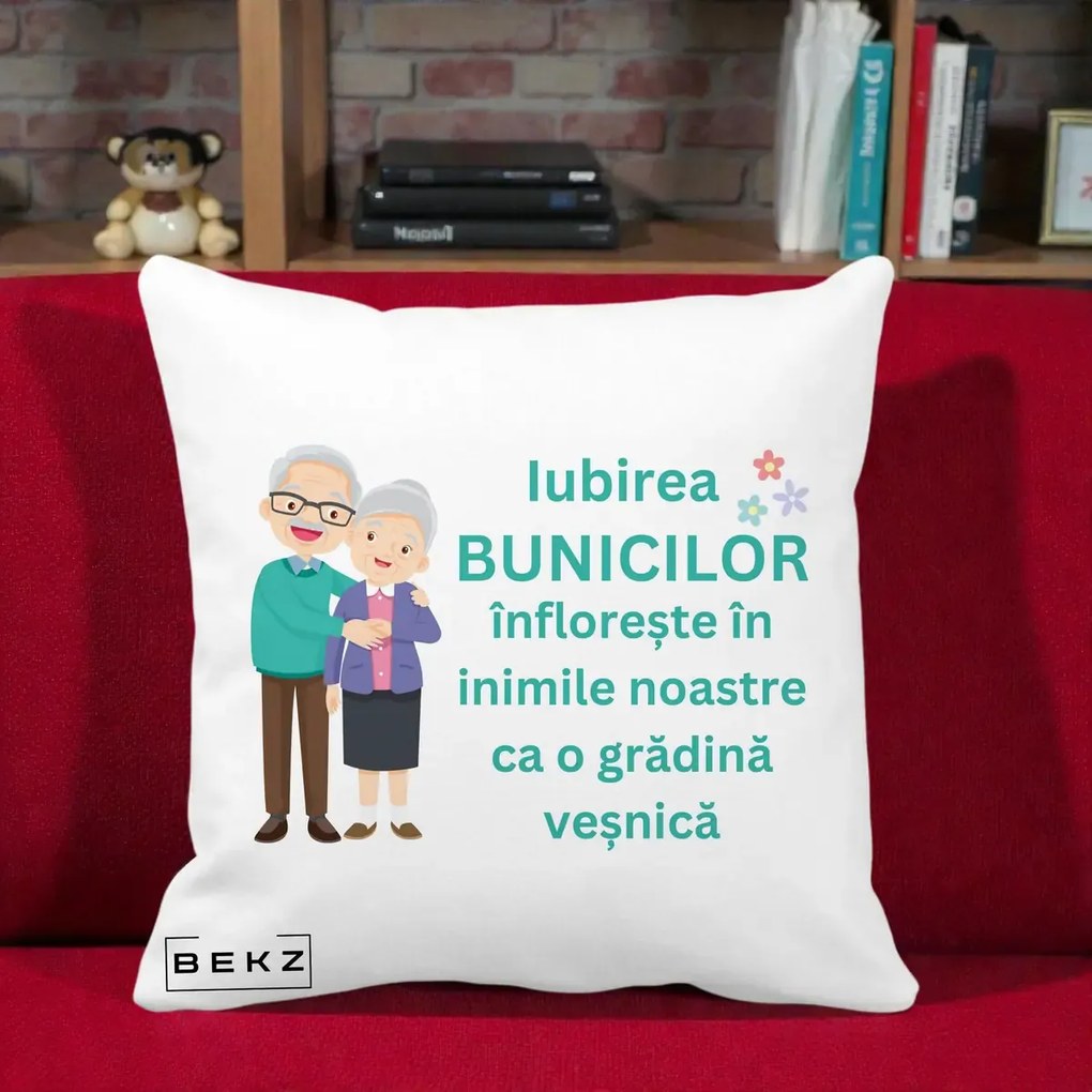 Cadou pentru Bunici - Perna Personalizata Bunicii Iubirea Infloreste Cuplu Senior Teal, 40x40 cm, Alba Mata, Husa Detasabila, Perna Inclusa, BEKZ®