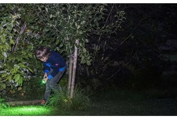 Ledlenser KIDBEAM4 DINO - Lanternă LED reglabilă pentru copii, alimentare 2xAAA, IP44, verde