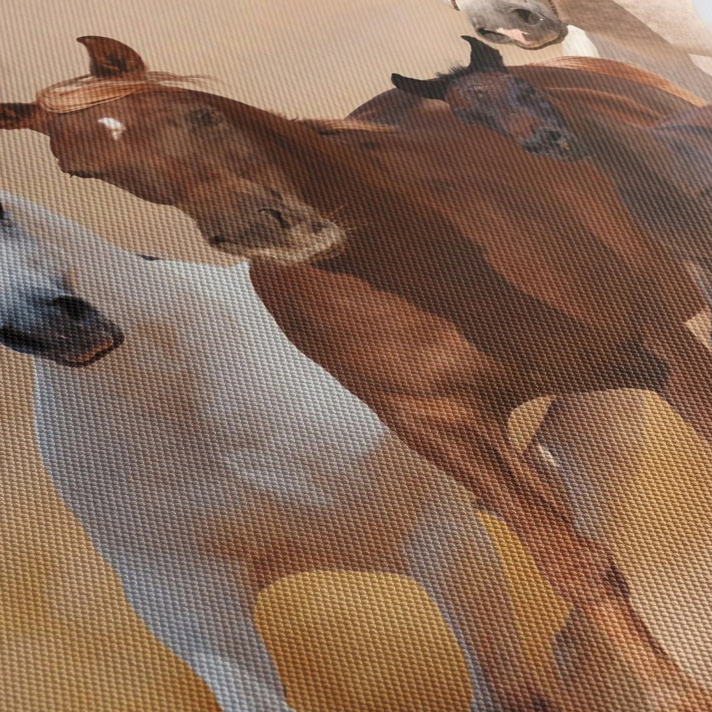 Tablou - Herghelie de cai (90x60 cm)