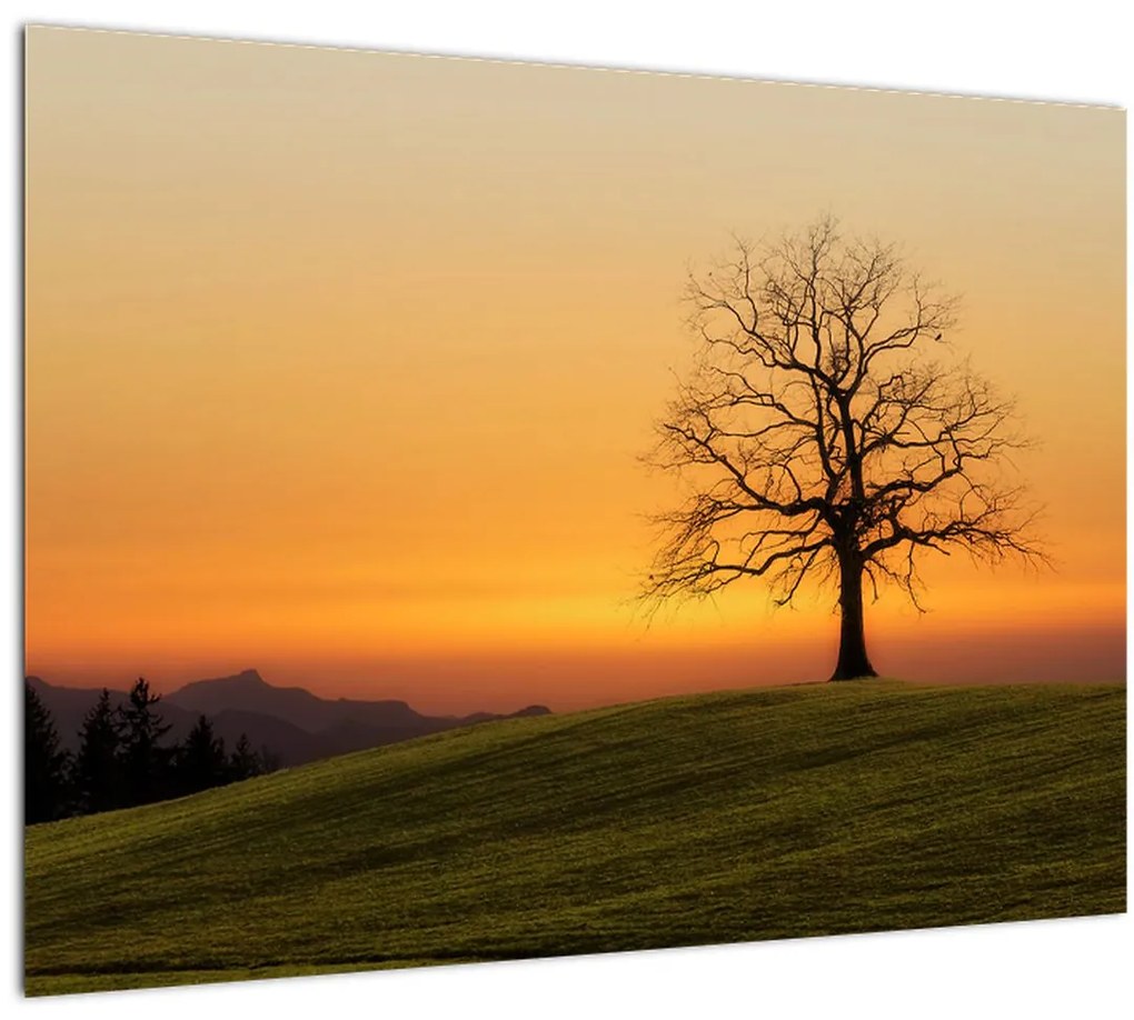 Tablou cu apus de soare pe o luncă (70x50 cm)