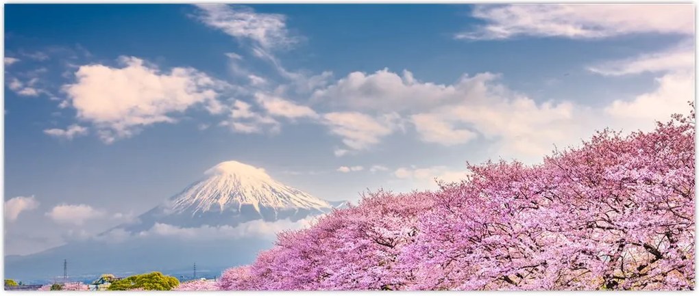 Tablou - Peisaj de primăvară japonez (120x50 cm)