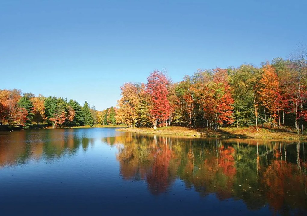 Fototapet - Lac (254x184 cm)