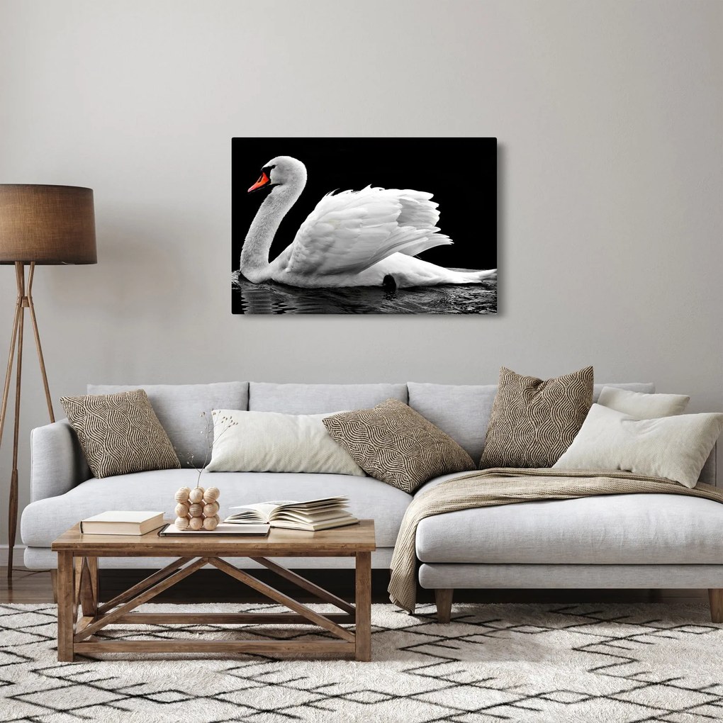 Tablou cu lebăda alb neagră (90x60 cm)