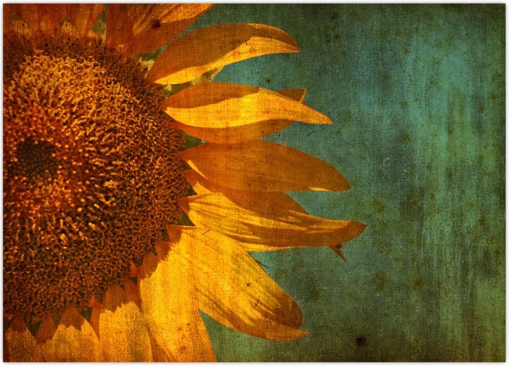 Tablou - Floarea soarelui (70x50 cm)
